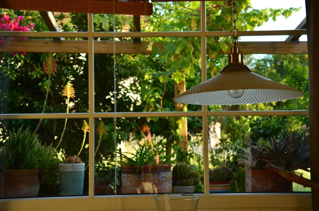 Ferienwohnung Casa Magnolia Terricciola Exterior foto